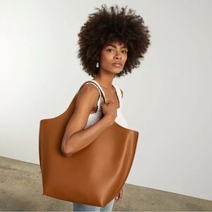 Everlane Triangle Tote